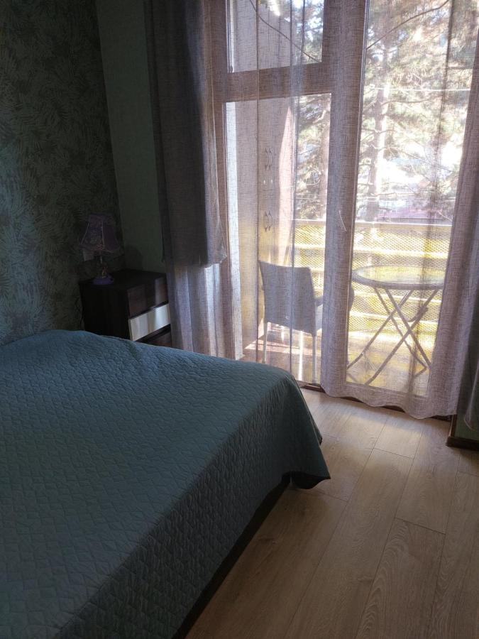 Londa Leilighet Borjomi Eksteriør bilde